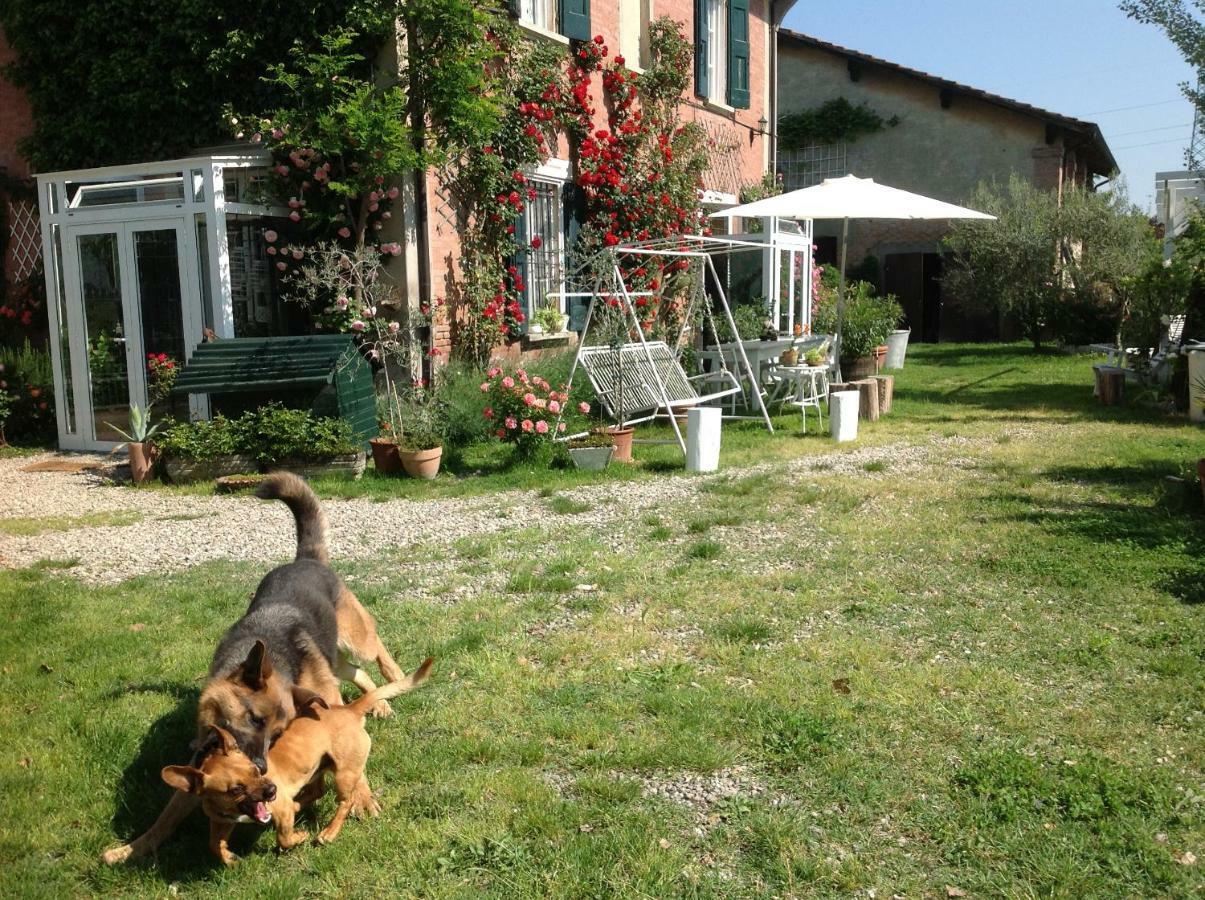 Al Porretto Bed and Breakfast Madonna della Provvidenza Eksteriør billede